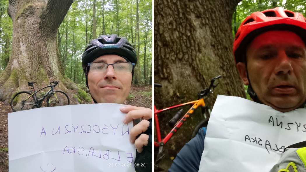 Elbląg, Oni dojechali do dębu Hoggo Elbląg, Oni dojechali do dębu Hoggo