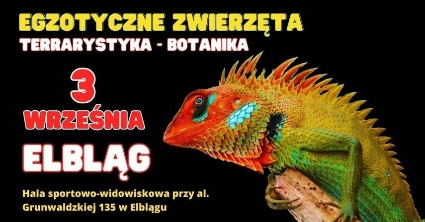 Zobacz z bliska egzotyczne zwierzęta! Zobacz z bliska egzotyczne zwierzęta!