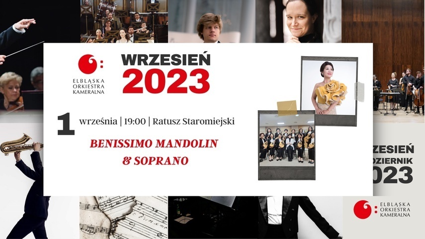 Elbląg, Benissimo Mandolin w Elblągu Elbląg, Benissimo Mandolin w Elblągu