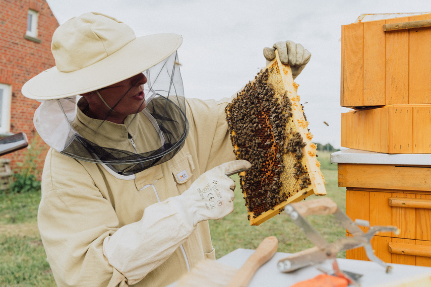 Elbląg, Patryk Bewicz o pszczołach może opowiadać bez końca.