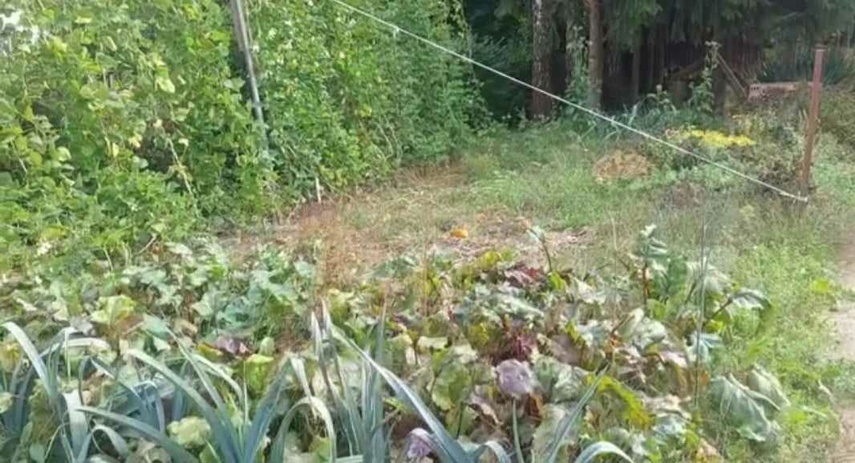 Elbląg, Ogródek, czyli działalność rolnicza w Karczowiskach Górnych, Elbląg, Ogródek, czyli działalność rolnicza w Karczowiskach Górnych,