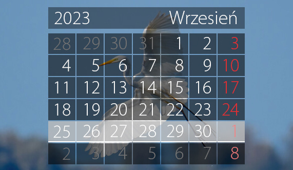 Elbląg, W tym tygodniu portEl poleca: Nocny Bieg i kosmiczna biblioteka Elbląg, W tym tygodniu portEl poleca: Nocny Bieg i kosmiczna biblioteka
