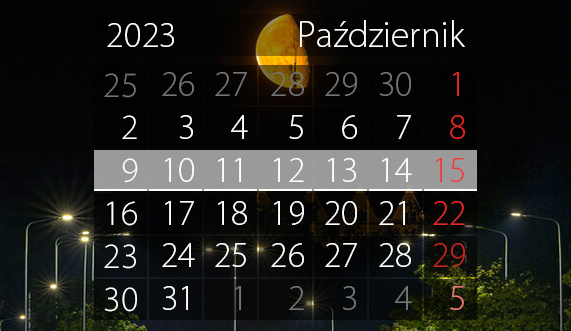 Elbląg, W tym tygodniu portEl poleca: Wielki Test Wiedzy, bajkowy koncert i spotkanie z Grynbergiem Elbląg, W tym tygodniu portEl poleca: Wielki Test Wiedzy, bajkowy koncert i spotkanie z Grynbergiem