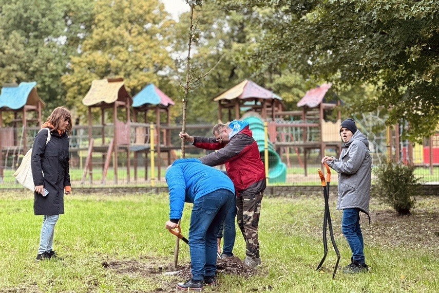 Elbląg, Sadzimy, nie wycinamy Elbląg, Sadzimy, nie wycinamy