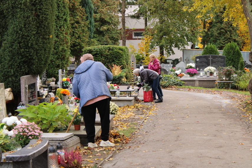Elbląg, Elblążanie przygotowują się do Wszystkich Świętych Elbląg, Elblążanie przygotowują się do Wszystkich Świętych