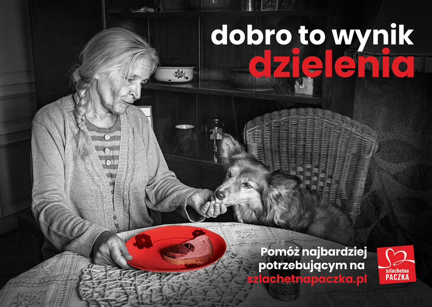 Elbląg, Materiały prasowe Stowarzyszenia Wiosna Elbląg, Materiały prasowe Stowarzyszenia Wiosna