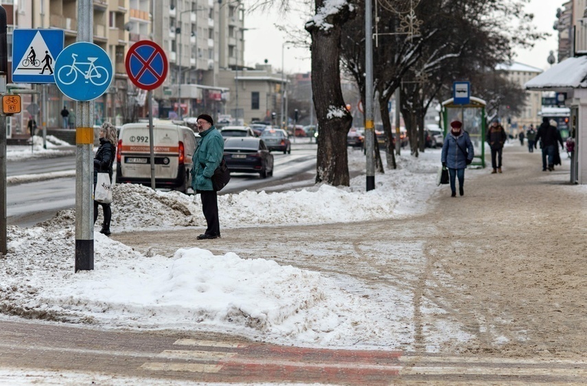 Elbląg, Gdzie się zaszczepić na "krakena" w Elblągu