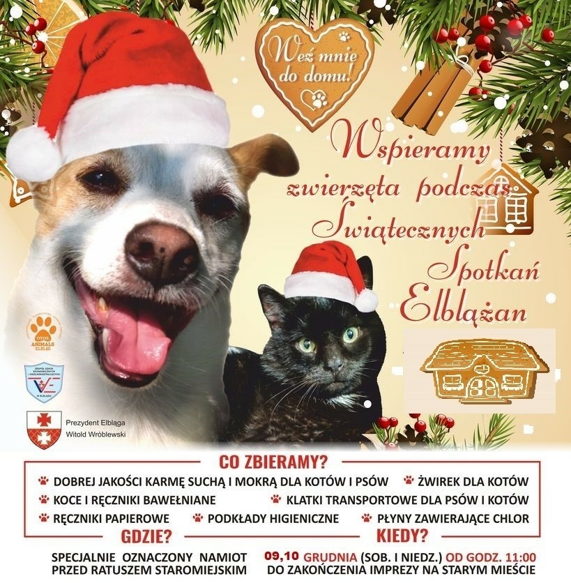Elbląg, Wspierajmy czworonogi podczas Świątecznych Spotkań Elblążan Elbląg, Wspierajmy czworonogi podczas Świątecznych Spotkań Elblążan