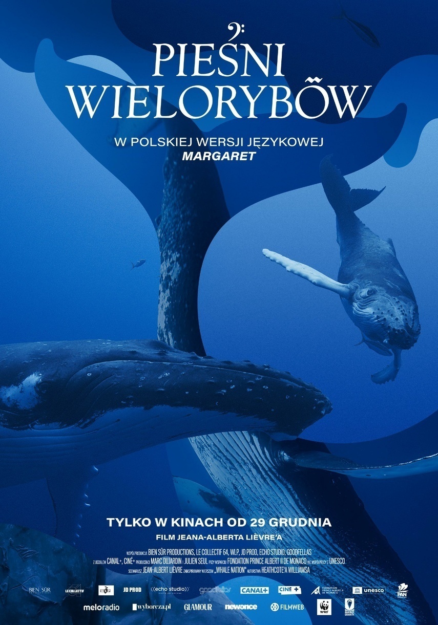Elbląg, "Pieśni wielorybów" w Kinie Światowid