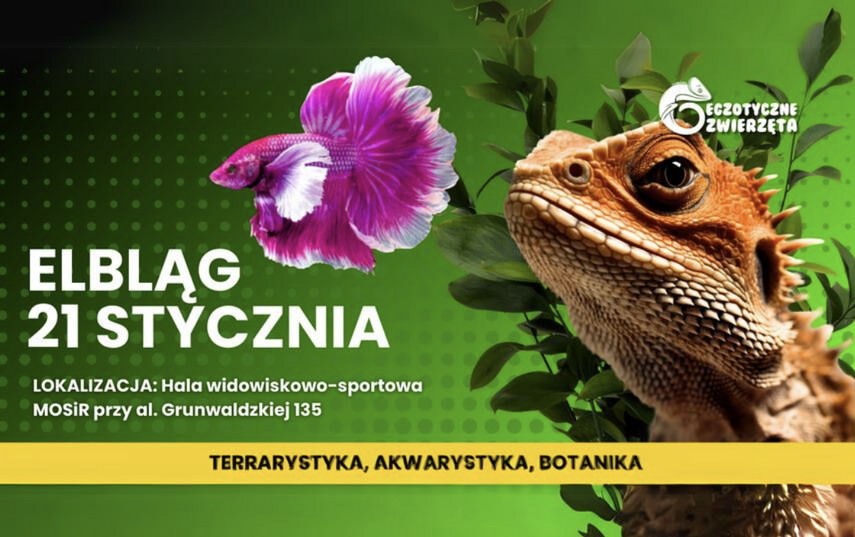 Podążamy śladami egzotycznych zwierząt! Podążamy śladami egzotycznych zwierząt!