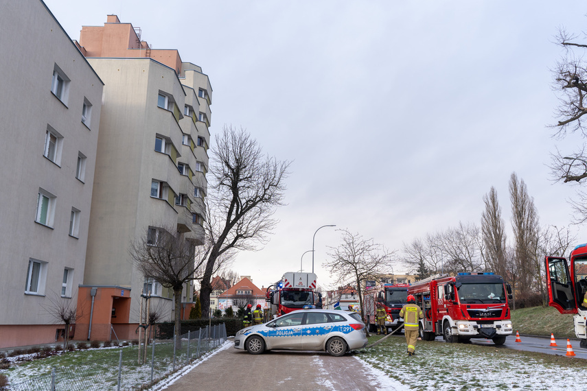 Elbląg, Paliła się kuchnia, strażacy ewakuowali psa Elbląg, Paliła się kuchnia, strażacy ewakuowali psa