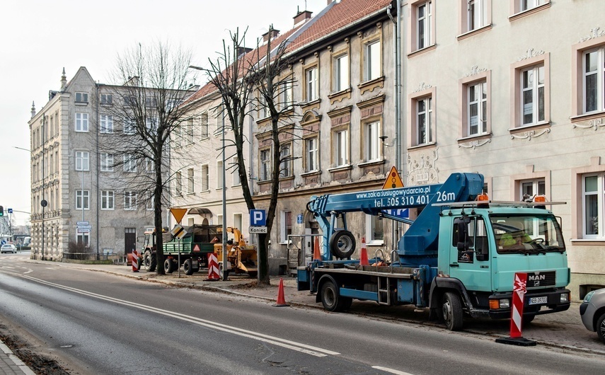 Elbląg, Czytelniczka: Czemu tną na Mickiewicza? Elbląg, Czytelniczka: Czemu tną na Mickiewicza?