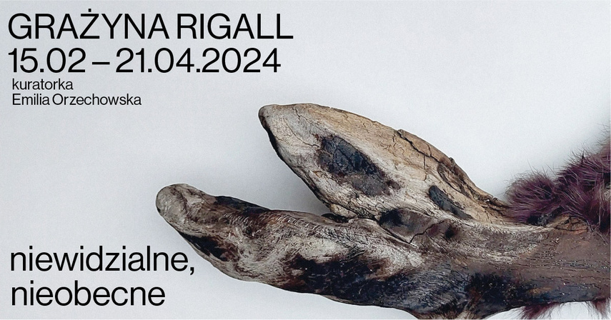 Elbląg, Wystawa Grażyny Rigall “Niewidzialne, nieobecne"