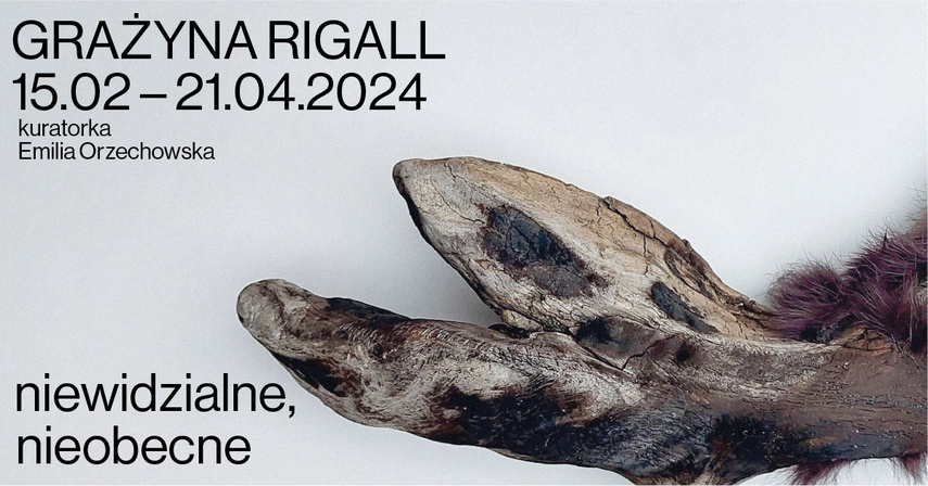 Elbląg, Wystawa Grażyny Rigall “Niewidzialne, nieobecne" Elbląg, Wystawa Grażyny Rigall “Niewidzialne, nieobecne"