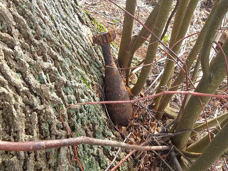 Elbląg, Niewybuchy na granicy Elbląg, Niewybuchy na granicy