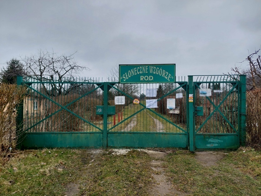 Elbląg, Działki a nowe prawo. "Zagrożenie dla istnienia ROD-ów" Elbląg, Działki a nowe prawo. "Zagrożenie dla istnienia ROD-ów"