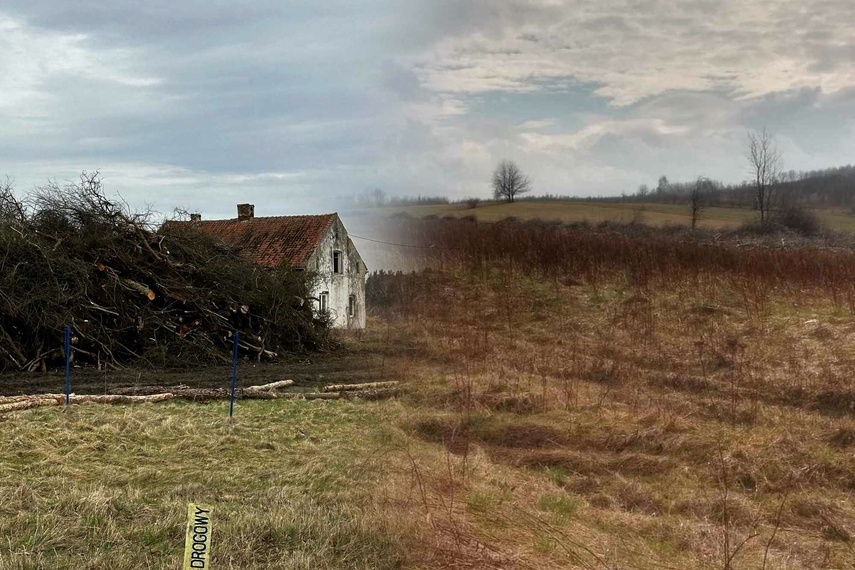 Elbląg, Wycinka w okolicach Chojnowa, fot. Czytelnik/