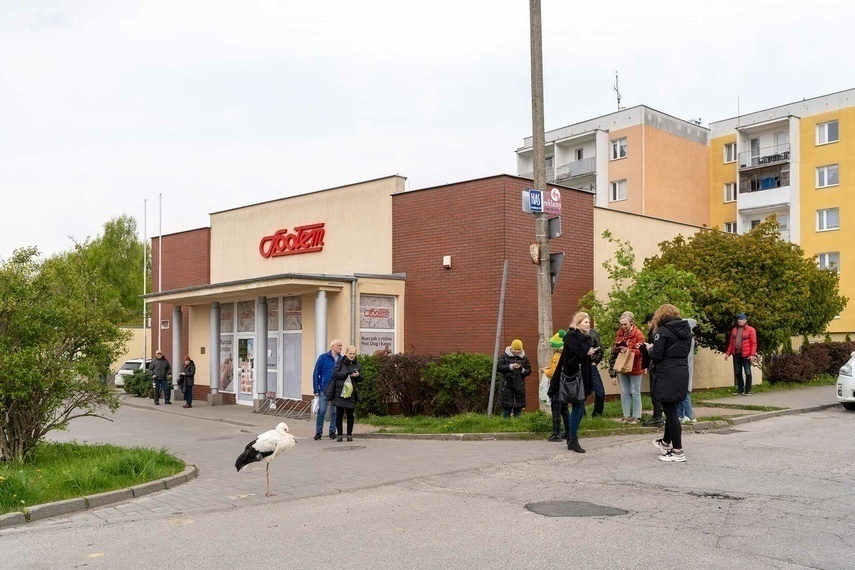 Elbląg, Bocian przy jednym ze sklepów przy ul. Królewieckiej, Elbląg, Bocian przy jednym ze sklepów przy ul. Królewieckiej,