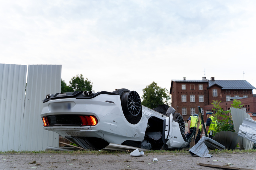 Elbląg, Mustangiem prosto w płot Elbląg, Mustangiem prosto w płot