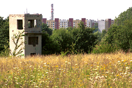 Elbląg, Wkrótce rozpocznie się rekultywacja Modrzewiny