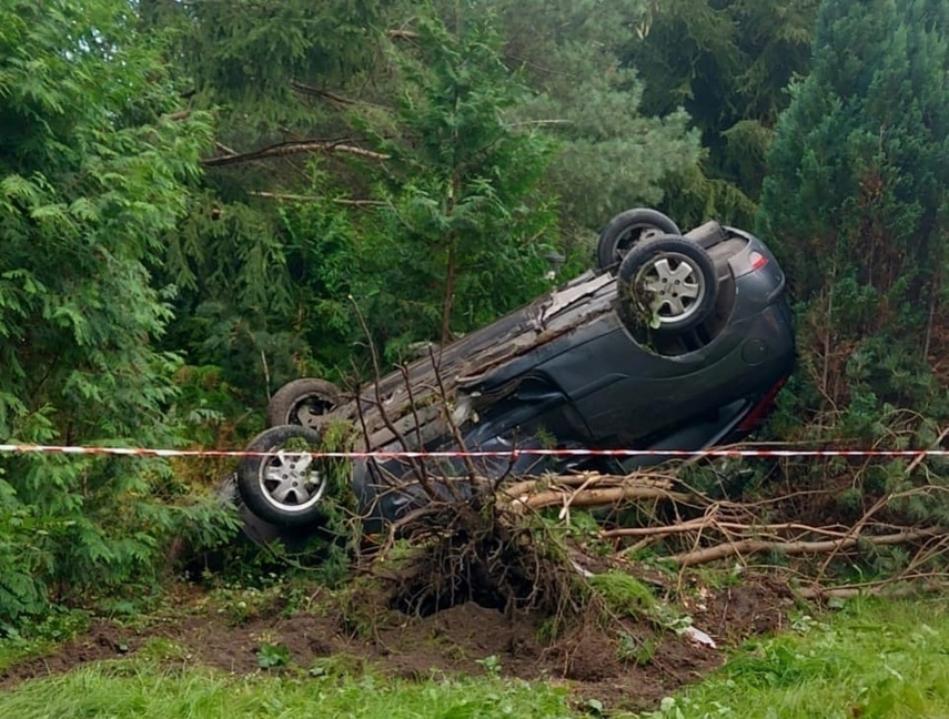 Elbląg, Młodość, alkohol i ford na dachu Elbląg, Młodość, alkohol i ford na dachu