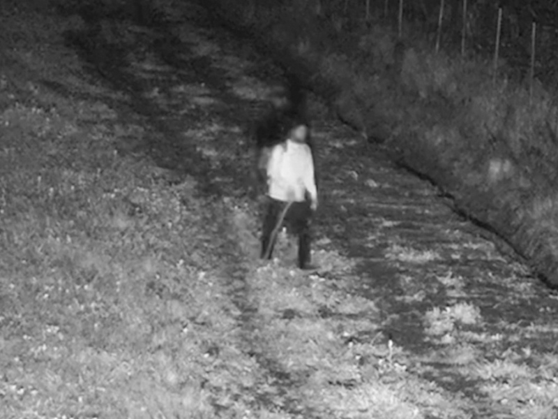 Elbląg, Chciał do Rosji przez zieloną granicę Elbląg, Chciał do Rosji przez zieloną granicę