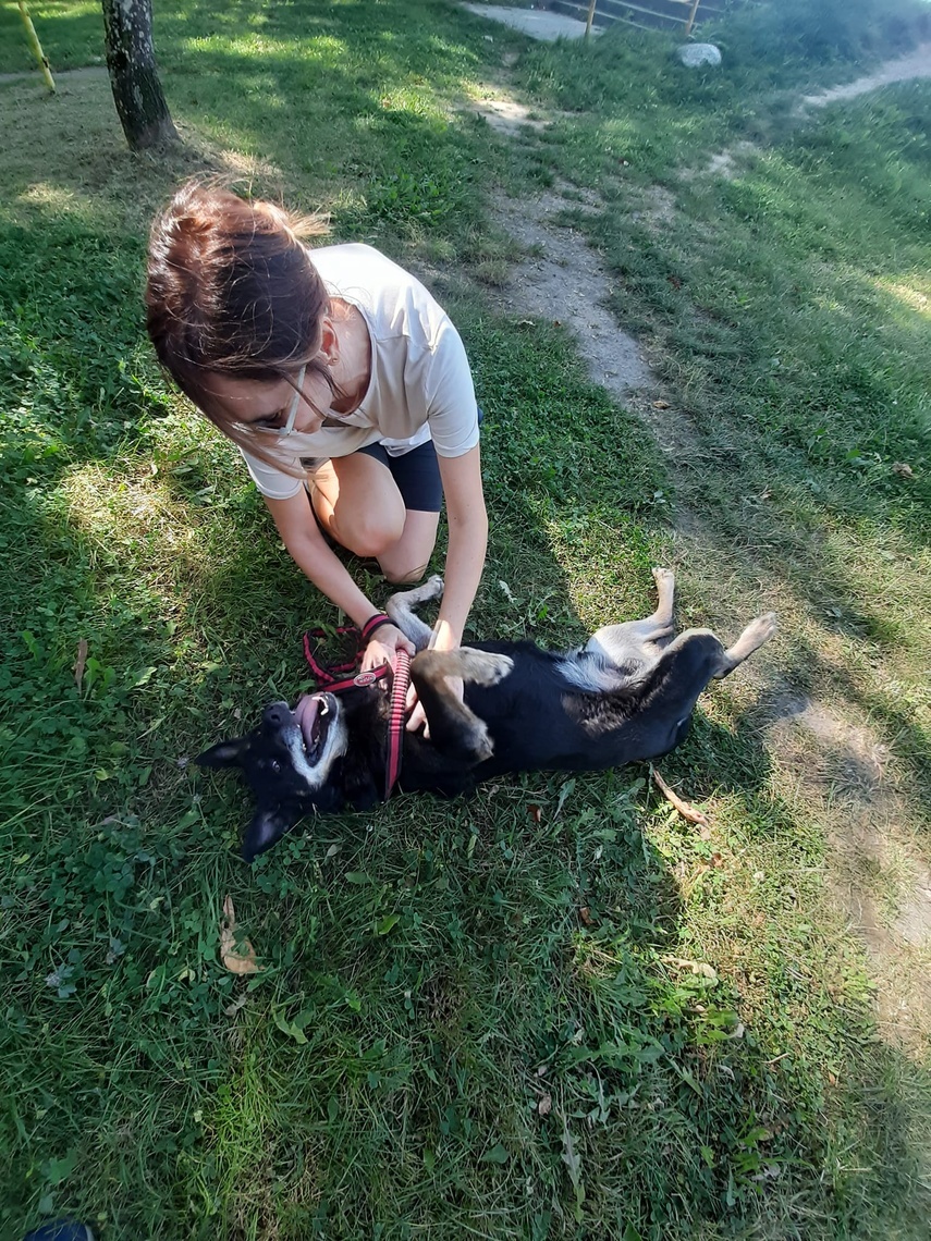Elbląg, Bieg na sześć łap Elbląg, Bieg na sześć łap