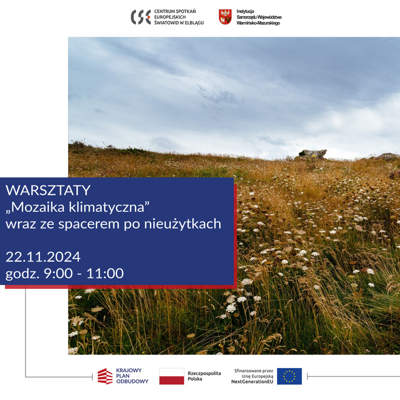 Elbląg, Warsztaty z Mozaiki Klimatycznej w terenie! Elbląg, Warsztaty z Mozaiki Klimatycznej w terenie!