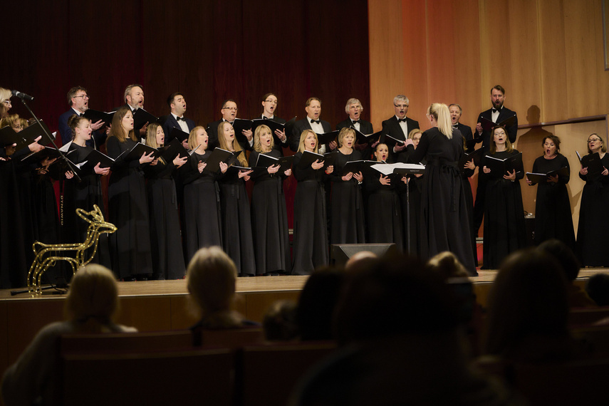 Elbląg, Chóralne kolędowanie z Cantatą Elbląg, Chóralne kolędowanie z Cantatą