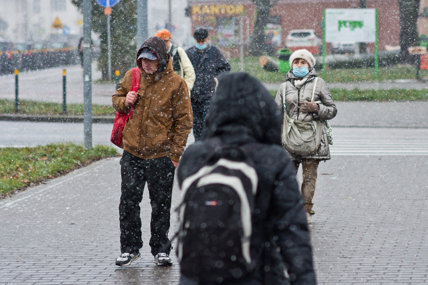 Elbląg, Lokalny krajobraz zakaźny minionego roku Elbląg, Lokalny krajobraz zakaźny minionego roku