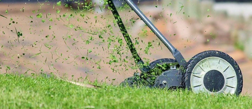 Trawa z mikrokoniczyną - nowoczesne rozwiązanie dla każdego ogrodu Trawa z mikrokoniczyną - nowoczesne rozwiązanie dla każdego ogrodu