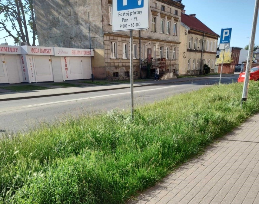 Elbląg, Do tej sytuacji, jak mówi Czytelniczka, doszło w tym miejscu na ul. Żeromskiego, Elbląg, Do tej sytuacji, jak mówi Czytelniczka, doszło w tym miejscu na ul. Żeromskiego,
