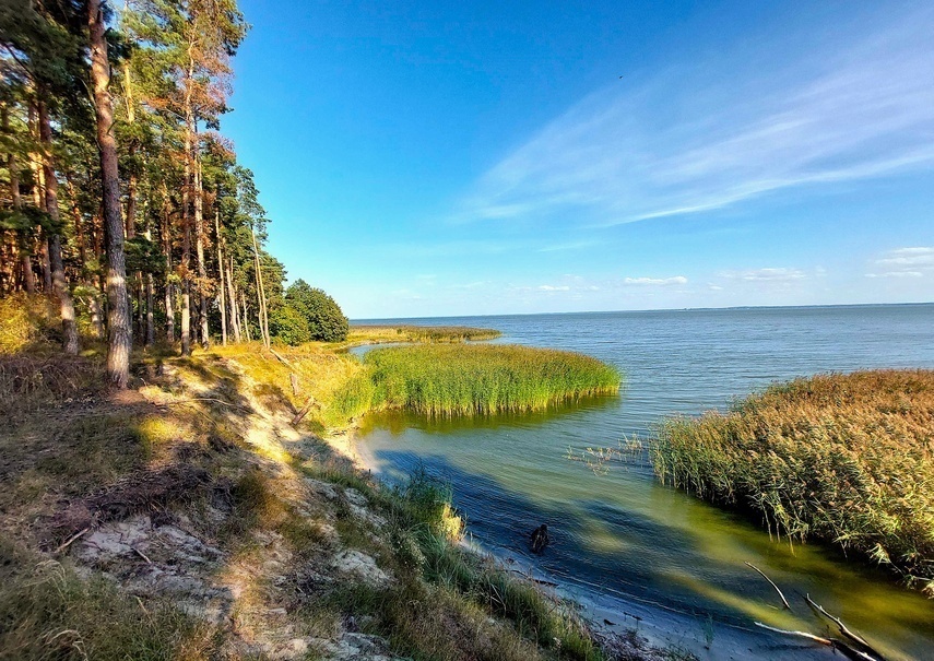 Elbląg, Zalew Wiślany w okolicach miejscowości Piaski,