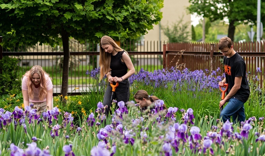 Elbląg, Szkolne klimaty Elbląg, Szkolne klimaty