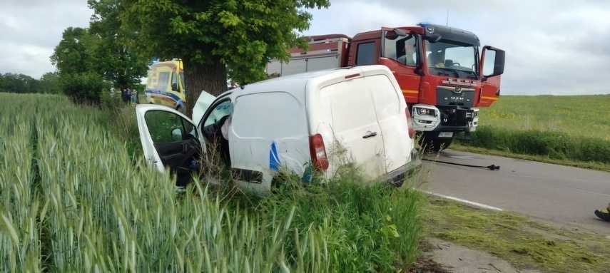 Elbląg, Busem uderzył w drzewo Elbląg, Busem uderzył w drzewo