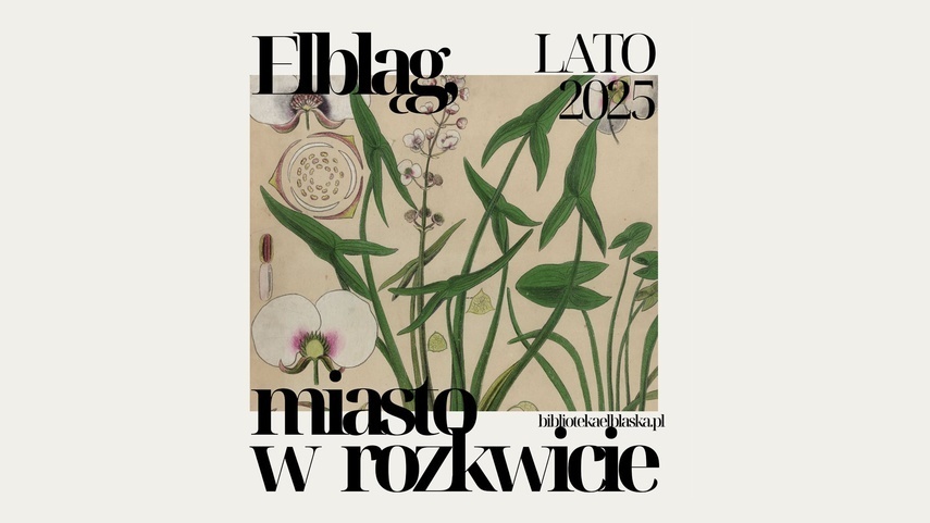 Elbląg, „Elbląg, miasto w rozkwicie”: wernisaż wystawy i wydarzenia towarzyszące Elbląg, „Elbląg, miasto w rozkwicie”: wernisaż wystawy i wydarzenia towarzyszące
