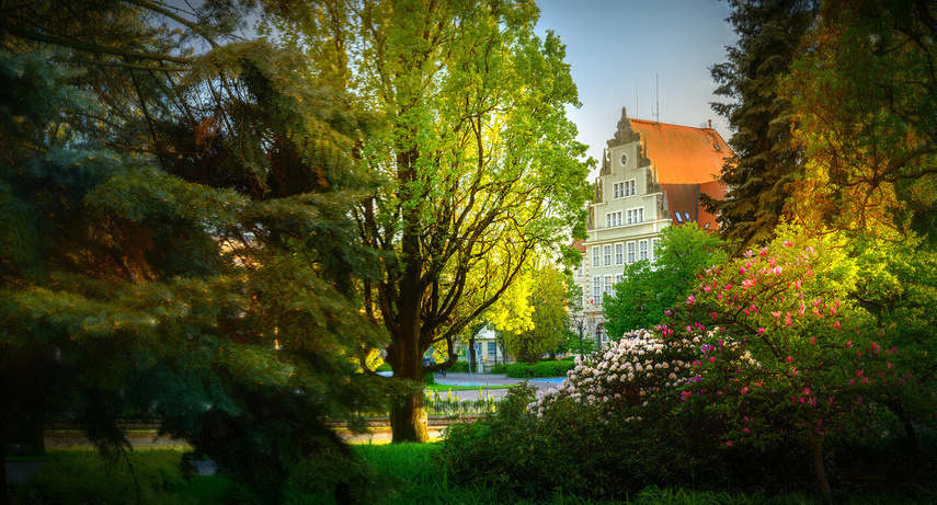 Elbląg, Sąd Okręgowy w Elblągu z przyrodniczej perspektywy (Zdjęcie z konkursu Fotka Miesiąca, maj 2025, autor Martinez72)