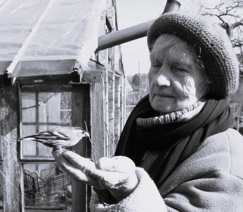 Elbląg, Zmarła Teresa Oliwiecka