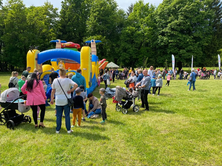 Elbląg, Sjesta w Parku Modrzewie Elbląg, Sjesta w Parku Modrzewie