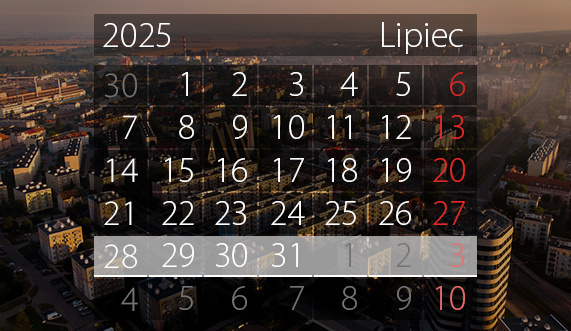 Elbląg, W tym tygodniu portEl poleca: wycieczkę rowerową, filmy, Dyplomy 2025 i Frombork Festival Elbląg, W tym tygodniu portEl poleca: wycieczkę rowerową, filmy, Dyplomy 2025 i Frombork Festival