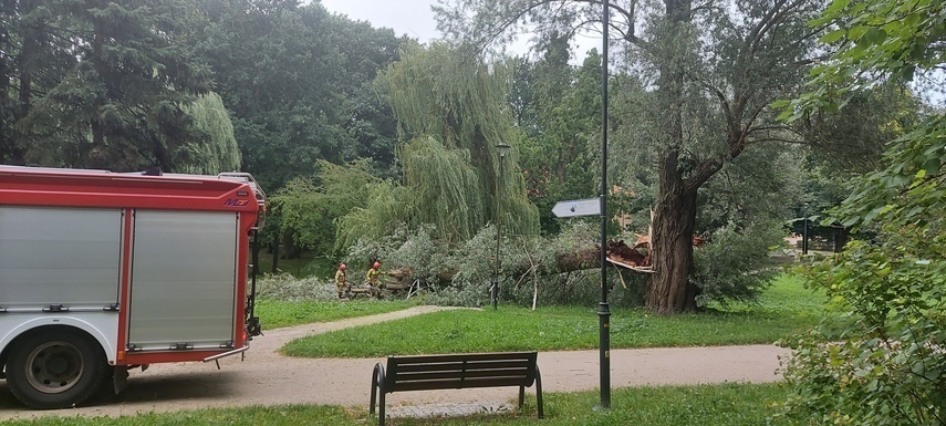 Elbląg, Czytelniczka: O włos od tragedii Elbląg, Czytelniczka: O włos od tragedii