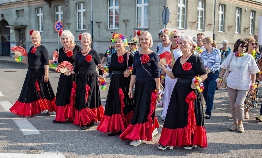 Elbląg, Miasto Seniorów Elbląg, Miasto Seniorów