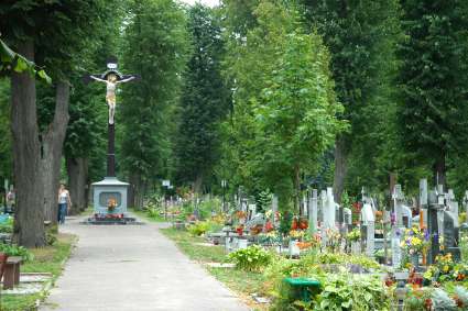 Elbląg, Teraz na terenie elbląskich nekropolii ma być ładniej i bezpieczniej Elbląg, Teraz na terenie elbląskich nekropolii ma być ładniej i bezpieczniej
