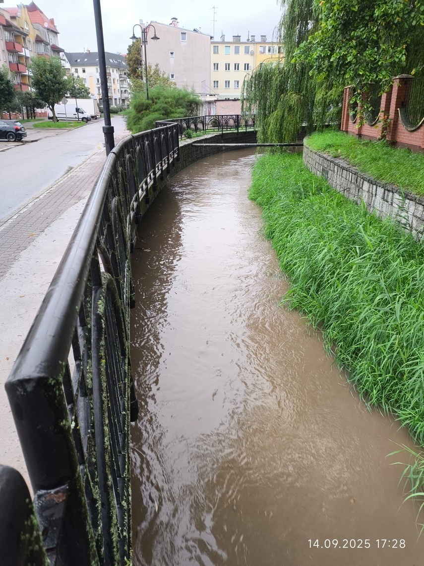 Elbląg, Kumiela znów wysoko Elbląg, Kumiela znów wysoko