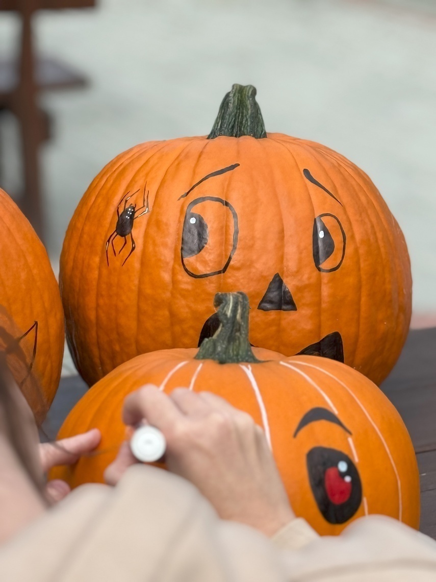 Dyniowa Farma startuje 20 września w Nowej Holandii Dyniowa Farma startuje 20 września w Nowej Holandii