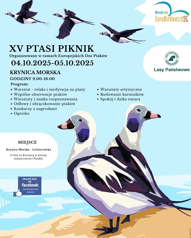 Elbląg, Ptasi Piknik w Krynicy Morskiej