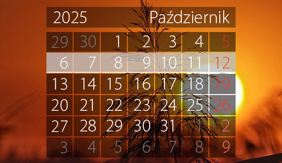 Elbląg, W tym tygodniu portEl poleca:  warsztaty i spotkania