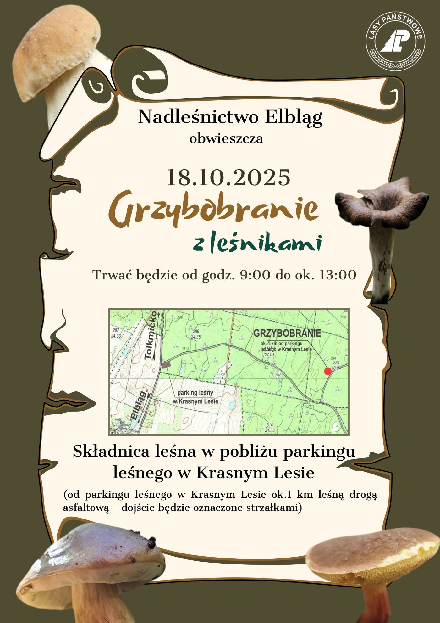 Elbląg, Grzybobranie z leśnikami Elbląg, Grzybobranie z leśnikami