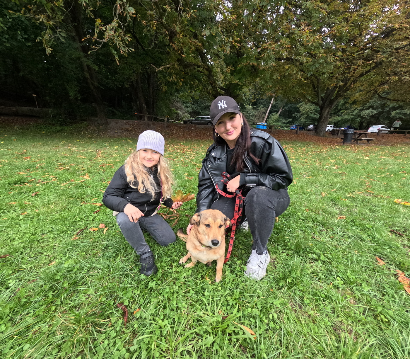 Listopad na spacerze ze schroniskowym psem [ Społeczeństwo ]