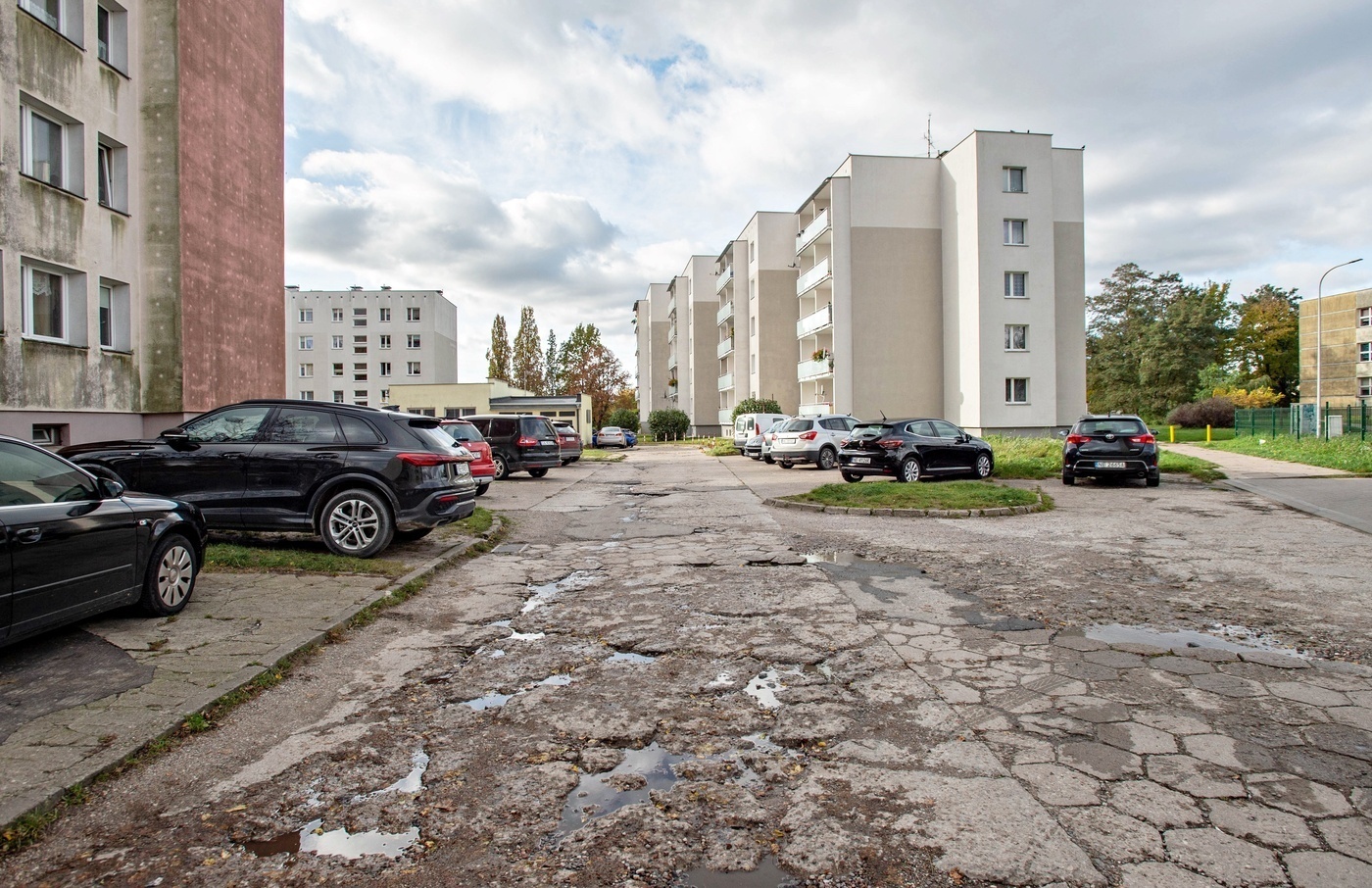 Elbląg, Remont u naczelnika i noblisty